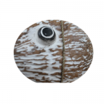 Coconut Fish - Natural