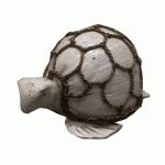 Coconut Turtles - White