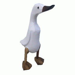 Duck Small White