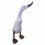 Duck Small White